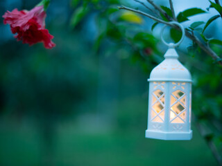 Decorative white lantern (Fanoos) glowing on nature background for Ramadan and Eid Greeting.