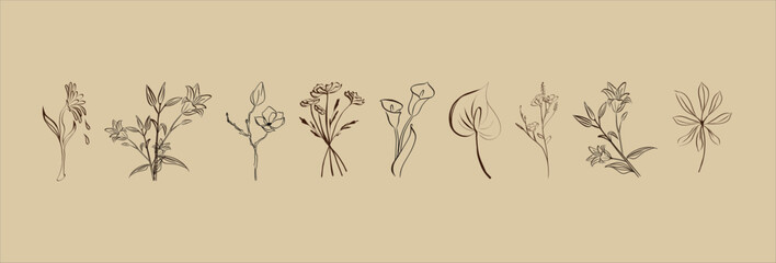 Minimalistic botanical graphic sketch drawing, trendy tiny tattoo design, floral elements vector hand drawn illustration