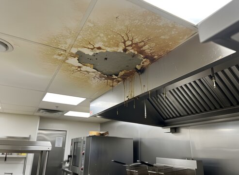 Damaged Kitchen Ceiling with Water Stain Symbolizing Maintenance Issues, Commercial Kitchen Problems, and Infrastructure Damage
