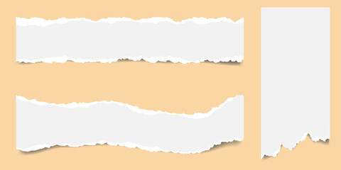 torn paper background. Template design for entertainment show, event, boarding pass. Blank tape or paper torn rip edge strip piece.