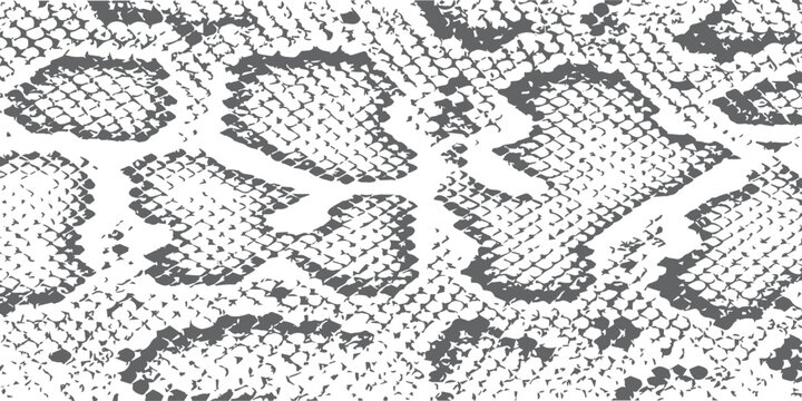 A detailed abstract monochrome illustration of a snakeskin pattern texture for background use