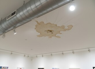 Shipping Container with Swedish Flag Colors Symbolizing International Trade, Logistics, Export Industry, and Global Transportation