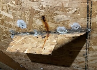 Osb Sheathing with Rust, Mold, and Delamination Symbolizing Moisture Damage and Decay, Construction, Repair, Roofing