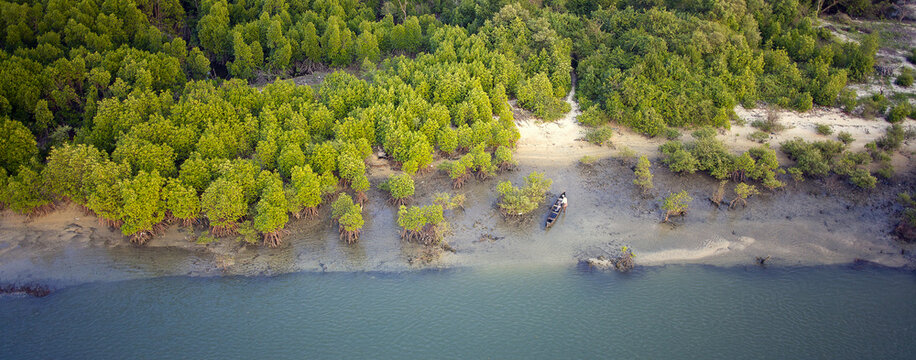 Aerial view of a rustic boat resting on the muddy bank where lush green mangroves meet the tranquil blue waters, Kilpadi, Karnataka, India.