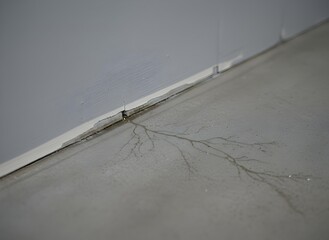 Water Leaking from Wall Base Forming Dendritic Pattern on Concrete Floor, Symbolizing Property Damage, Home Maintenance, and Repair Needs, Building Problems