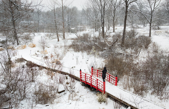 Aerial view of a vibrant red Asian-style bridge in a snowy landscape, with a solitary person watching the snow fall. Acton Arboretum, Acton, MA, USA.