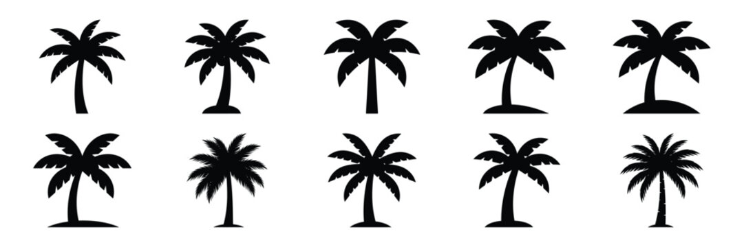 vacation palm silhouette icon set,Transport symbol. Vector illustration.