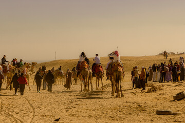 People getting ride on camels in Egypt