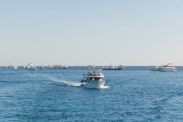 Fototapeta premium White Island in Red Sea, Egypt