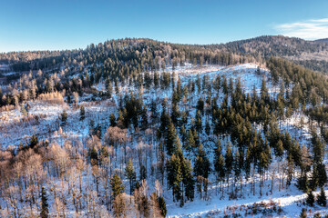 Beautiful winter landscape from a drone: forest and mountains covered with snow.