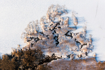 Frozen lake covered in snow, seen from a drone. Winter landscape. Lake Dabie in Poland.