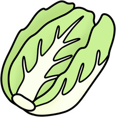 Obraz premium 배추