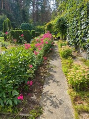 Garden landscape design, summer day.