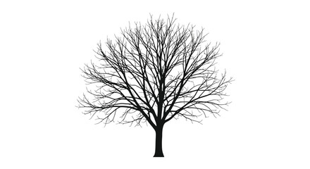 A striking depiction of a bare tree with intricate branches against a clean white background silhouette © AL-AMIN