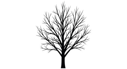 Obraz premium a stark and delicate depiction of a bare tree with intricate branches against a white backdrop silhouette