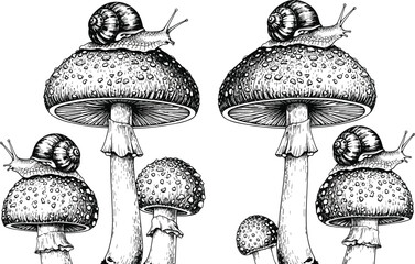 Hand drawn vintage ink illustration of garden snails on forest mushrooms, detailed engraving style, nature wildlife sketch, cad drawing flat vector illustration © Mostafizar