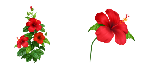 Red Hibiscus Flower Plant with Green Leaves Isolated. Bouquet of Red Tulips and Red Carnations Floral Illustration with Blossoming Petals and Green Leaves in Spring Garden Design