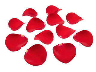 Fototapeta premium Collection of red rose petals scattered, isolated on transparent background