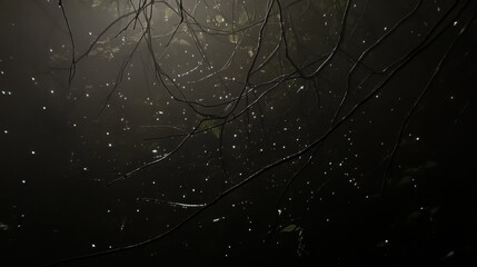 Dark abstract forest scene with branches and sparkling light particles in misty atmosphere
