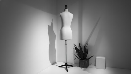 Monochromatic image features a mannequin with an aloe plant in the corner in bright studio lighting.