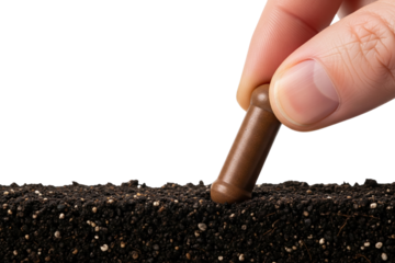 Hand pushing brown fertilizer spike plant food into dark garden soil on a transparent background