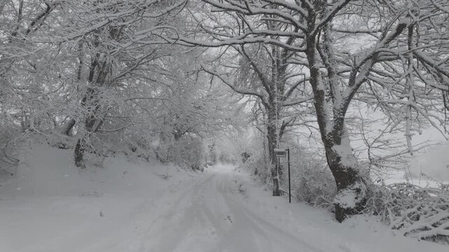 A winter scene showing a rural road covered in snow, running between agricultural fields and bare trees. The landscape is quiet and serene, with soft light and a cold atmosphere