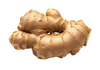 Fresh ginger root on white background