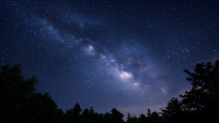 A spectacular view of the luminous Milky Way galaxy stretching across a deep blue night sky with silhouettes of trees in the foreground