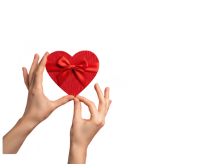 Two hands holding a red heart with a bow isolated on transparent background for valentines day or love concept