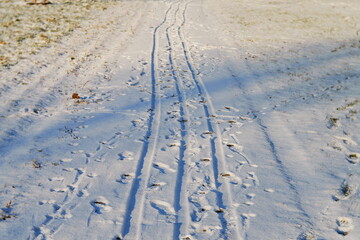 Fototapete bei efototapeten.de bestellen   