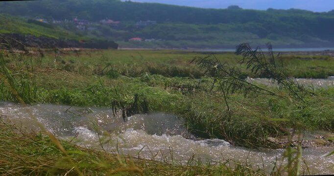 The turbulent currents at the mouth of the intertidal zone in Okinawa, Japan.