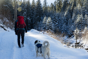 trekking in beautiful winter scenery