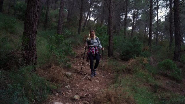 Young woman with trekking poles walking down steep path in pine forest. Active person enjoying nature and outdoor physical activity. Active lifestyle concept