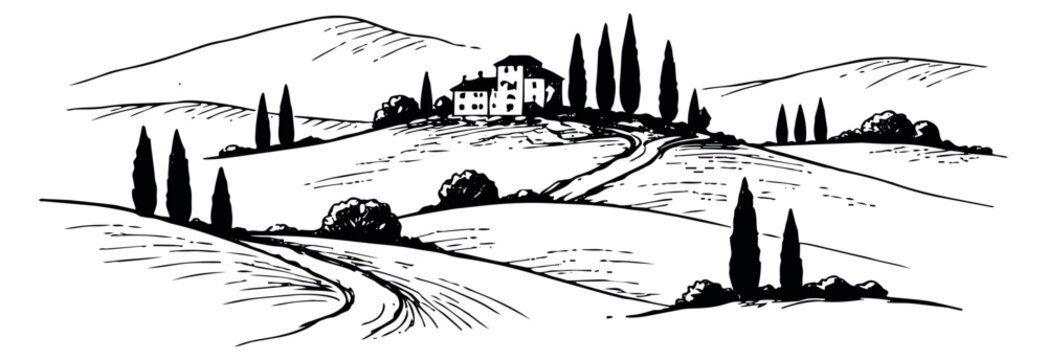 Hand drawn line art illustration of italian countryside depicting a villa and cypress trees on rolling hills for travel and vineyard themes