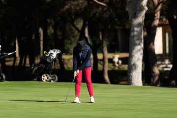 Mature golfer practicing putting on a sunny day at the golf course