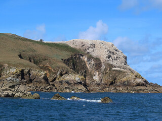 L'&icirc;le Rouzic - Perros-Guirec