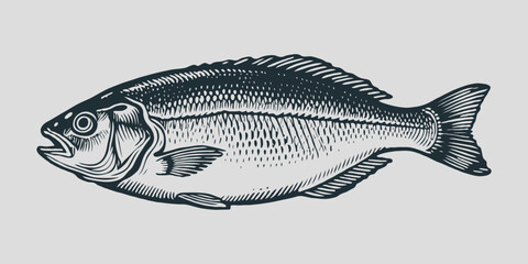 Detailed hand-drawn engraving of a fish in black ink style, isolated on light background, concept of seafood, fishing, marine life