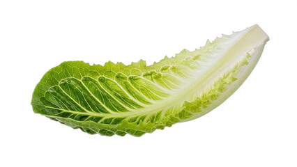 Romaine lettuce leaf arranged on a plain background for a culinary presentation or food preparation scene