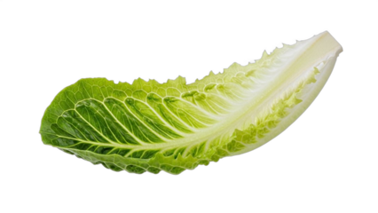 Romaine lettuce leaf arranged on a plain background for a culinary presentation or food preparation scene