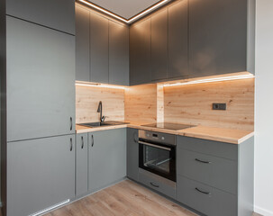 Modern Gray Kitchen With Wooden Accents and Built-In Appliances