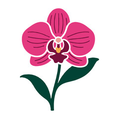 Pink orchid flower with green leaves drawn in flat graphic style on white background, symbolizing beauty, elegance and tropical nature