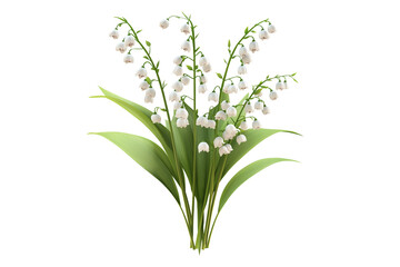 Floral Lily of the Valley Plant Isolated on Transparent Background