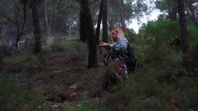 Woman with backpack and trekking poles stands amidst trees in forest, examining paper map in search of correct path while on hike. Outdoor adventure concept