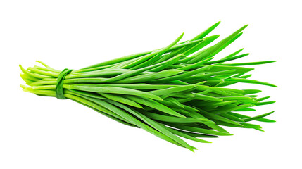 a bunch of green onions on a transparent background