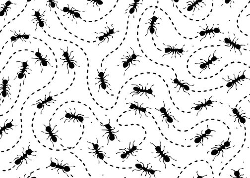 ant trails texture vector background
Vector texture pattern