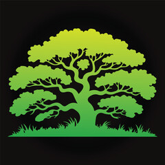 jil isolated on white background