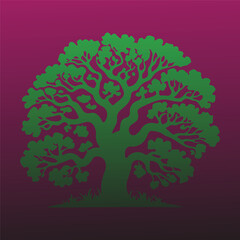 oo8 isolated on white background