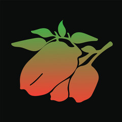 xz isolated on white background