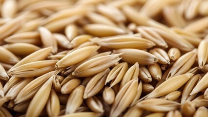 Close-up Texture of Whole Oat Grains and Groats for Cereal Background