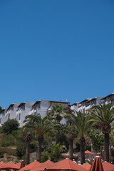 Relaxing at a seaside resort under clear skies with palm trees and umbrellas on a sunny day